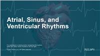 Atrial, Sinus, and Ventricular Rhythms