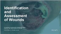 Identification and Assessment of Wounds